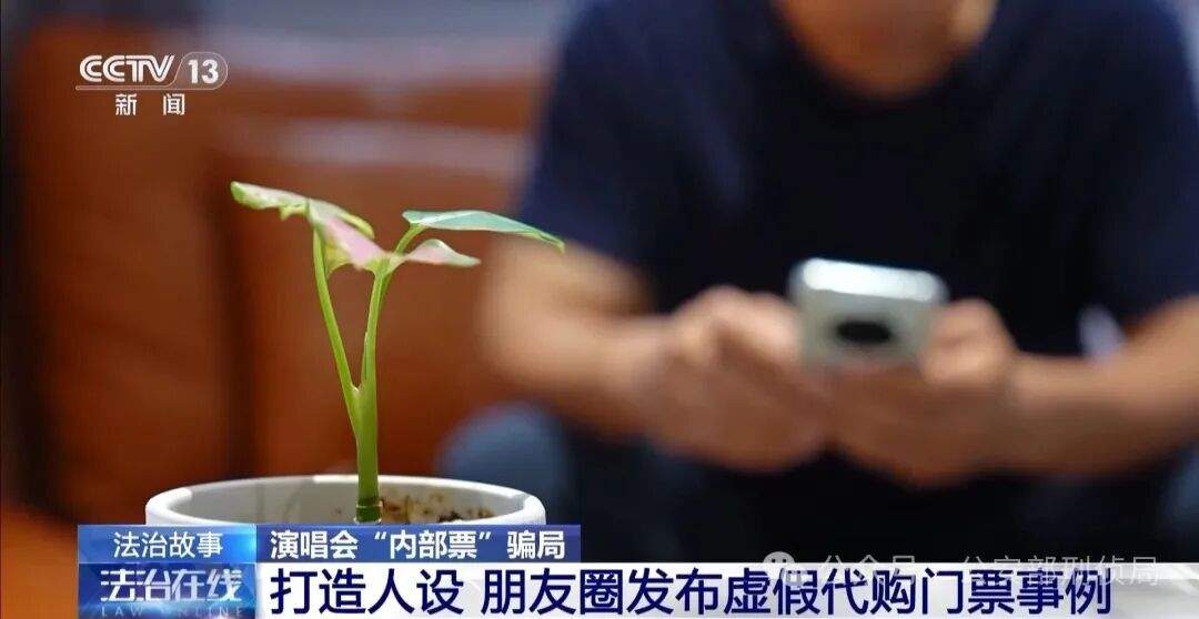 演唱会“内部票”让138万元打水漂,当心购票骗局!