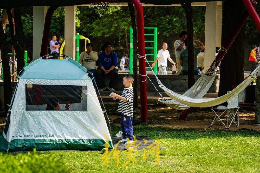 一年四季 泉在济南｜泉城公园露营热潮涌动 市民解锁城市“慢生活”新体验