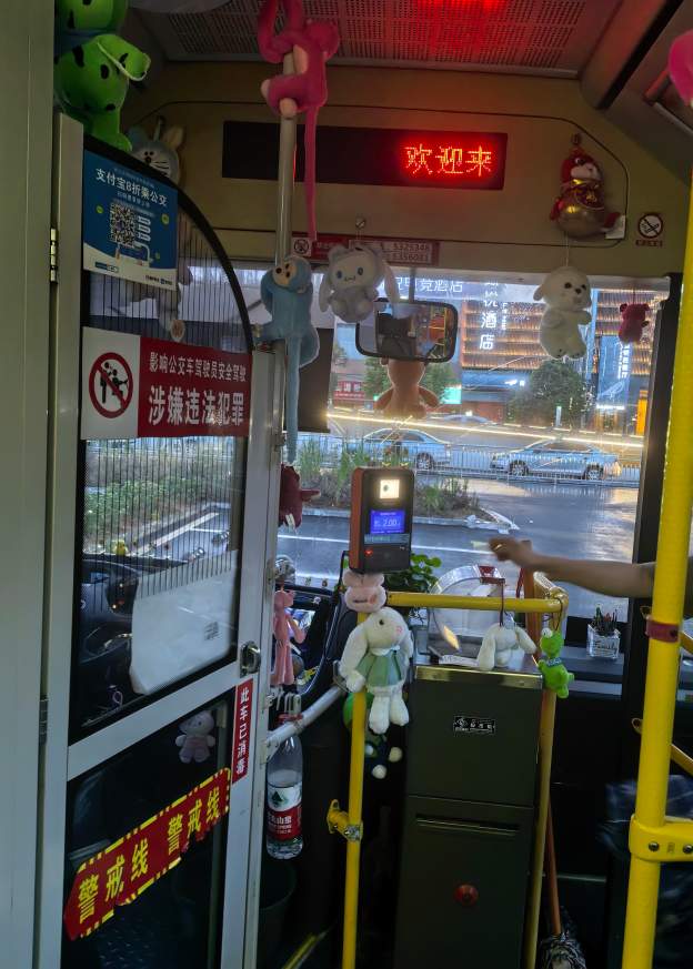 挂满绿萝和玩偶，邵阳司机大姐自费900元装饰公交：工作环境也可以像家一样舒适温馨