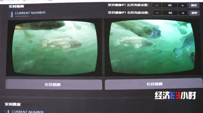 视频监控每条鱼！看莱州湾这个“无人化”管理的深海粮仓