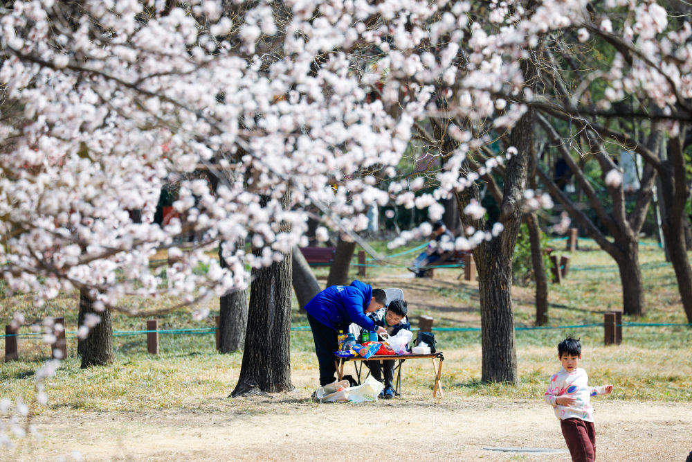 新华社关注济南：“花样故事”里的“春日经济”