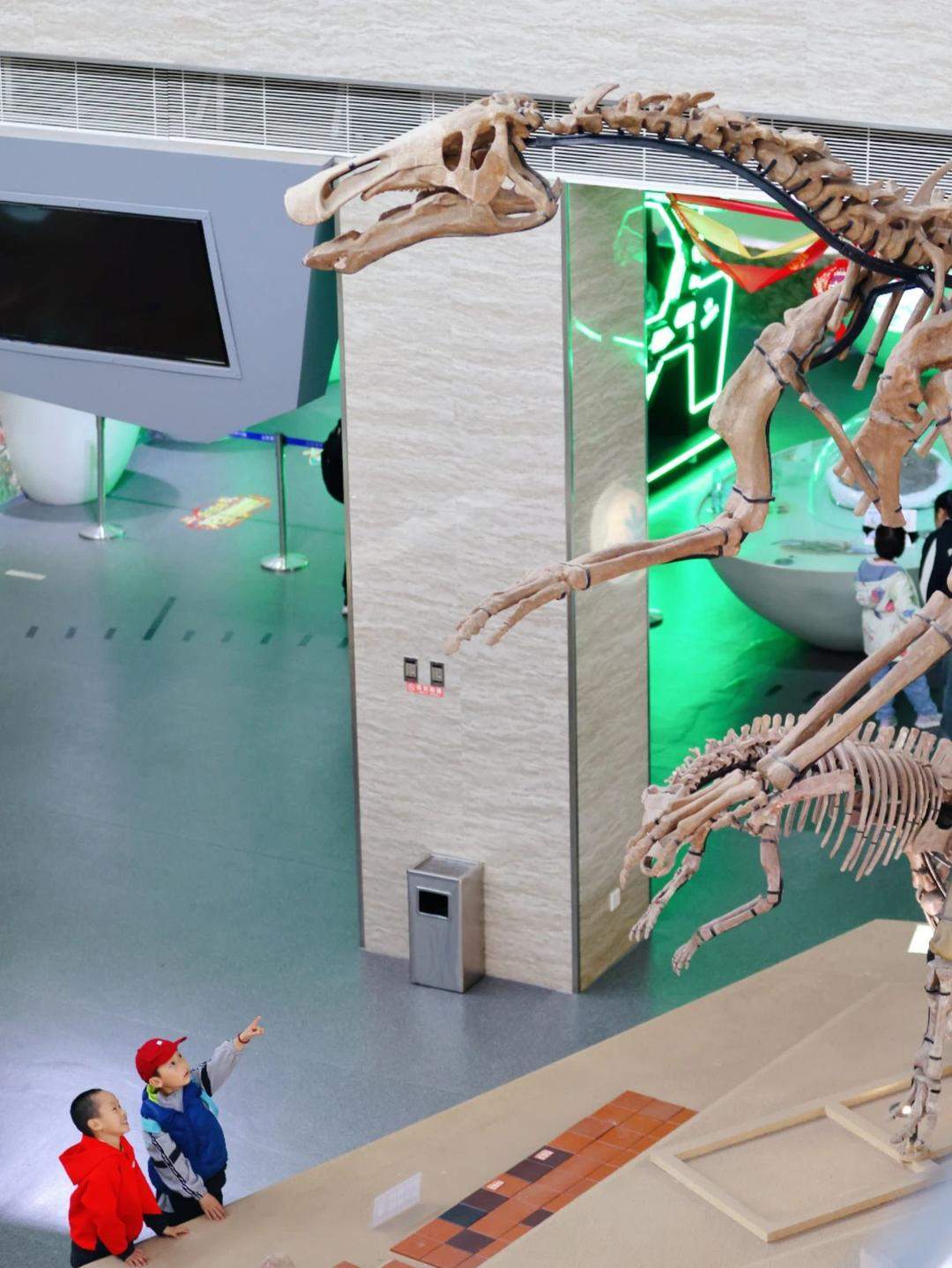 “好客山东·齐鲁1号”，不仅是一列火车