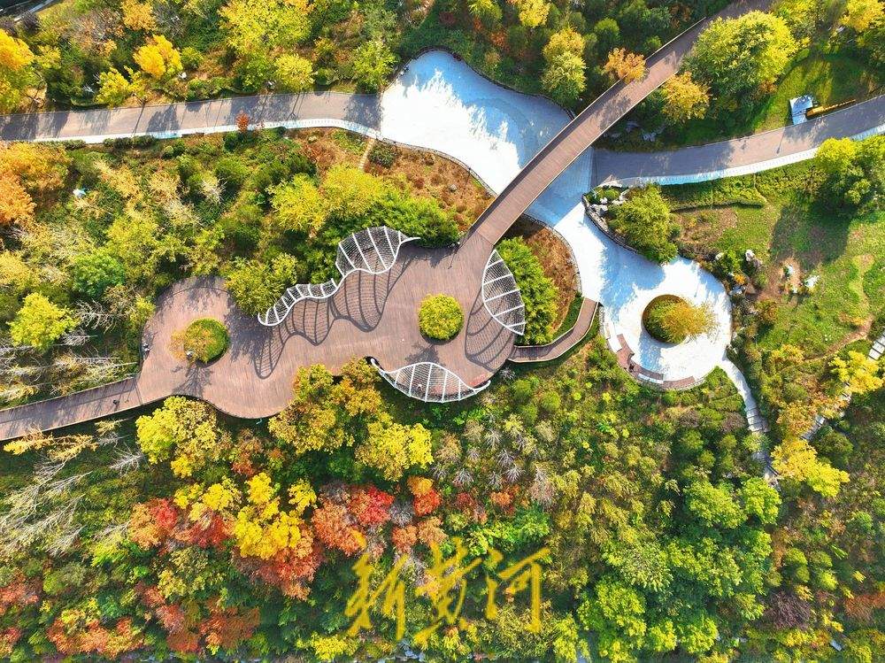 秋色烂漫 济南茂岭山公园层林尽染入画来