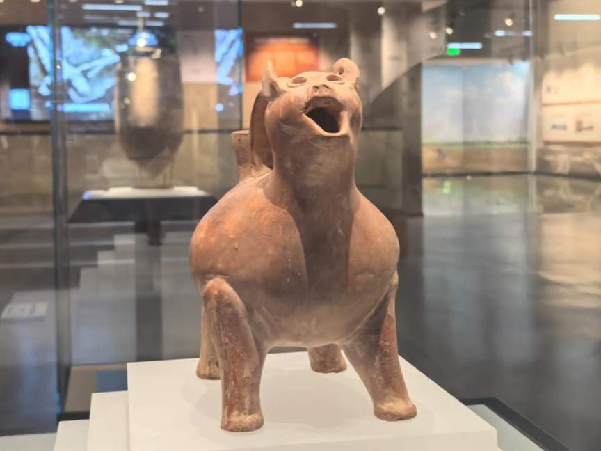 黄河行纪｜从大汶口遗址探寻海岱曙光