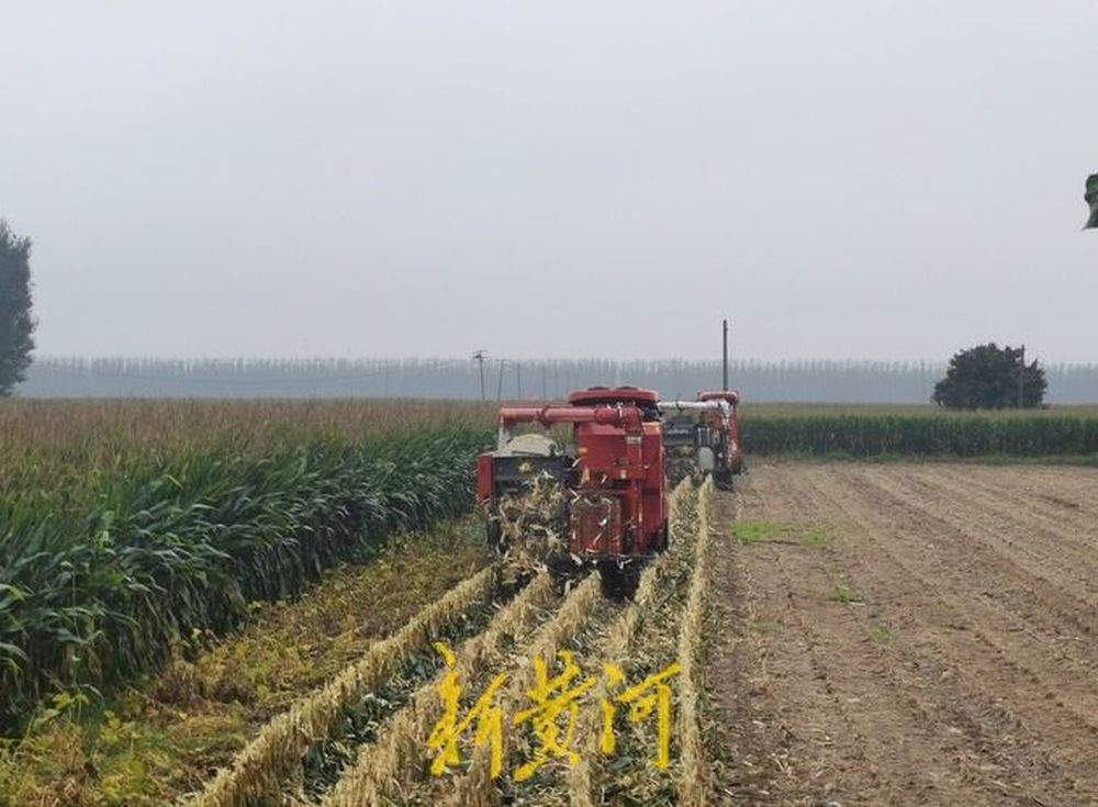 泉城秋收回望图丨抢与援！田间地头的倾情守护