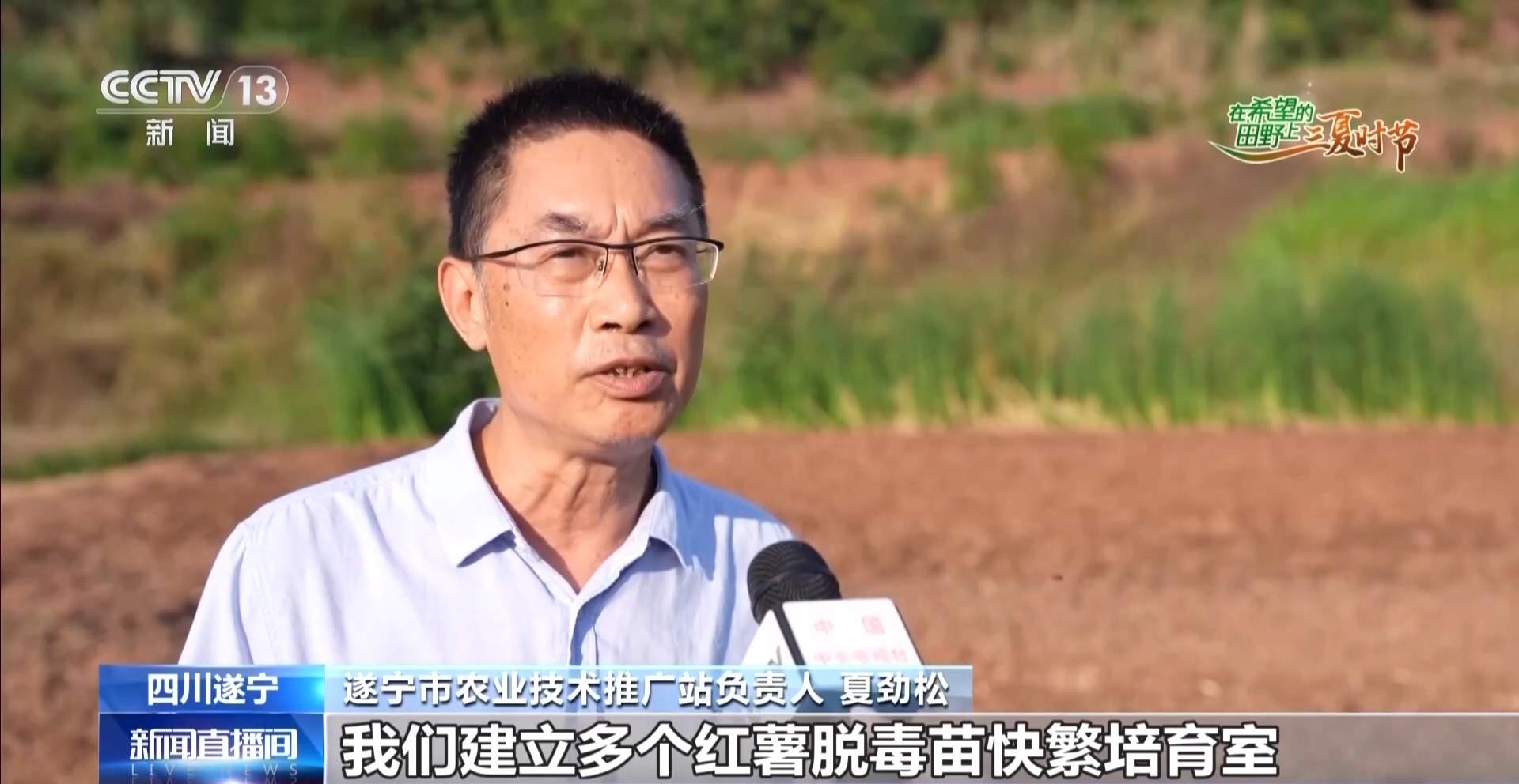 田间“数字哨兵”上岗 智能农机护航“三夏”丰收