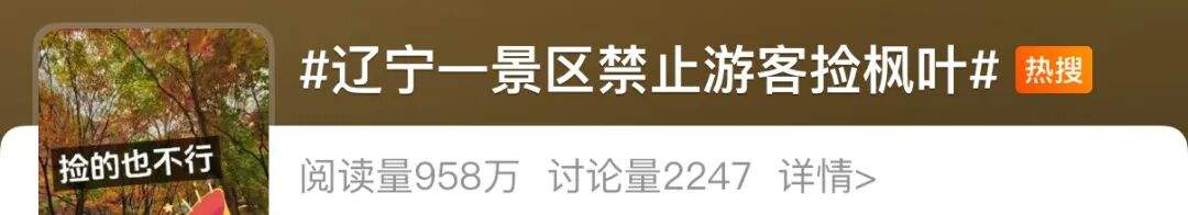 景区禁止游客捡枫叶，网友质疑“太小气”，最新回应