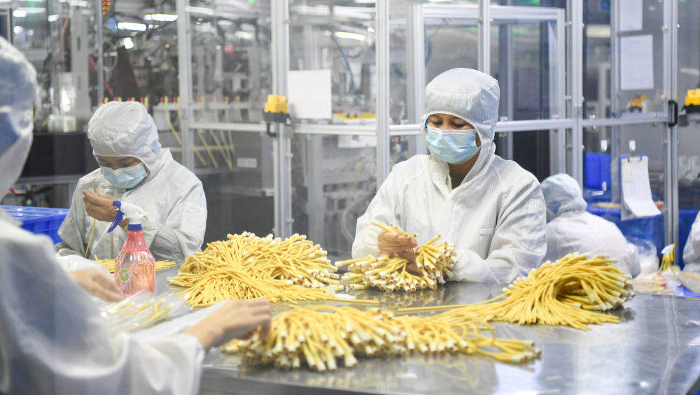 追光｜海南自贸港封关运作 为体育产业带来哪些机遇？