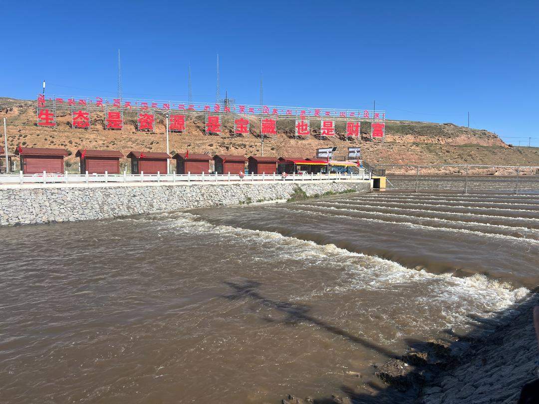 从0.26万吨增至12.03万吨！生态保护助青海湖湟鱼上演生命奇观