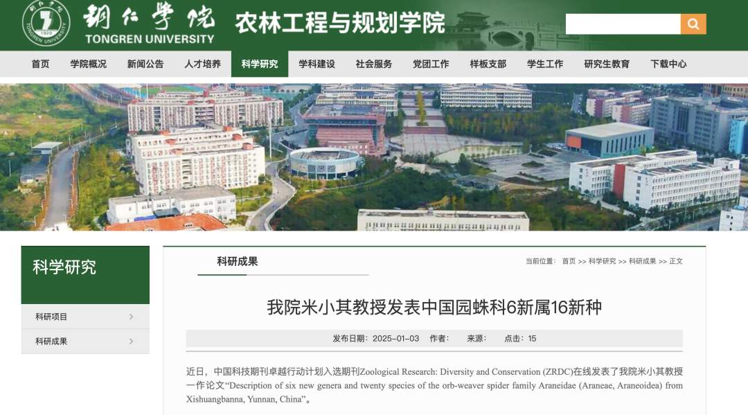 稻香、龙拳、星晴……新种蜘蛛“歌单式”命名,“你的歌迷已经是科学家了!”