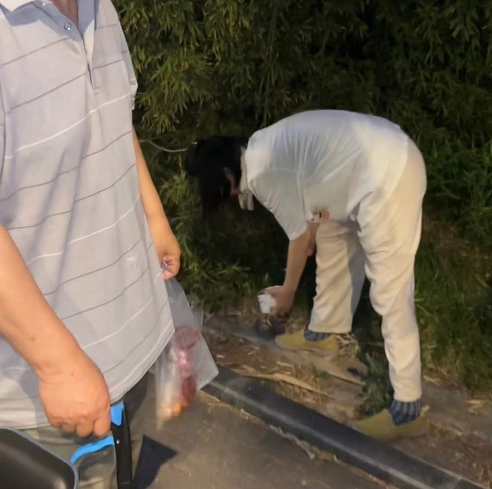 31万点赞！济南退休夫妇深夜街头公益捡拾烟头，装满整整一盒