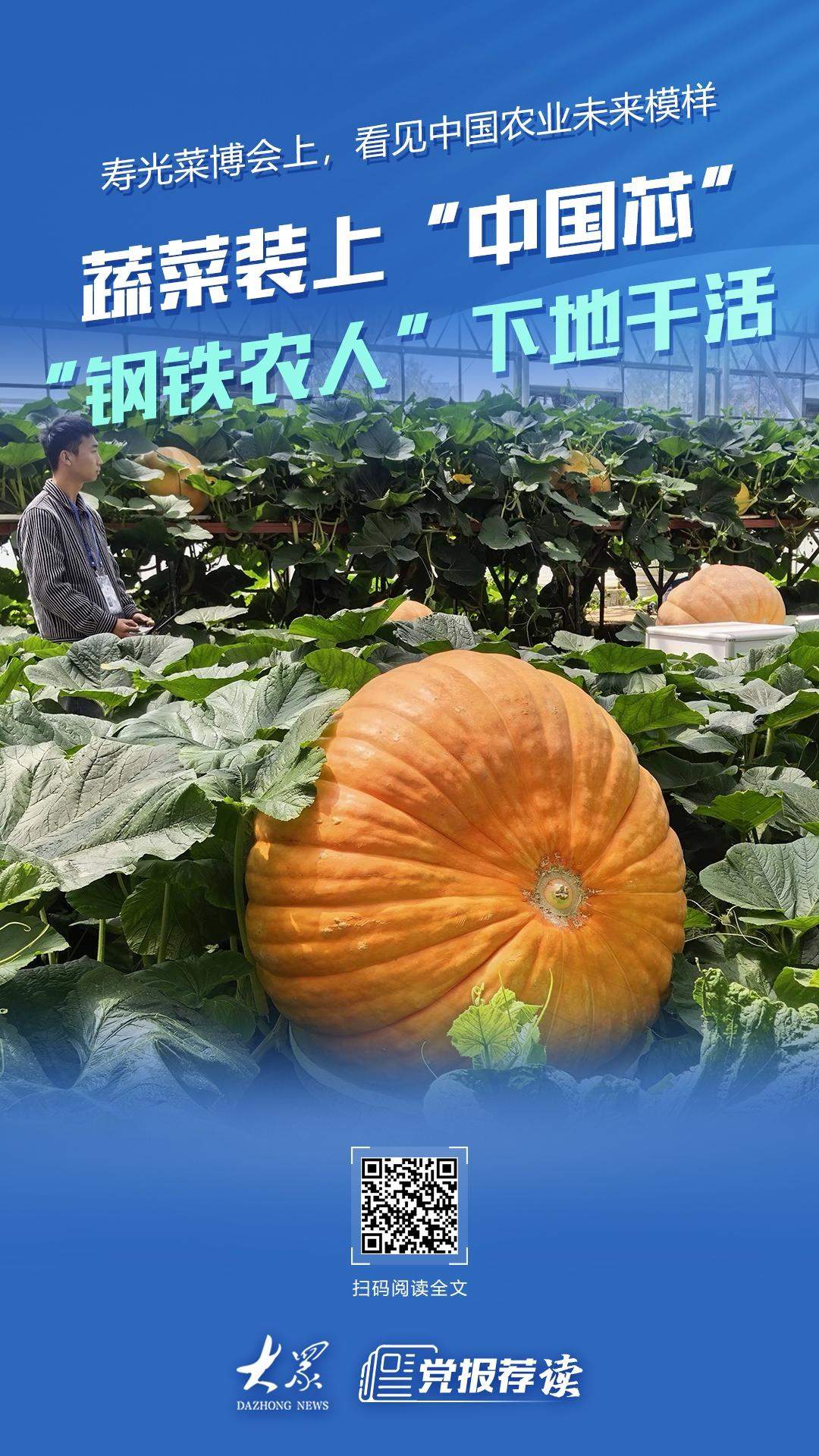 机器人下地干活，蔬菜装上“中国芯”！潍坊寿光菜博会把未来农业搬到你眼前