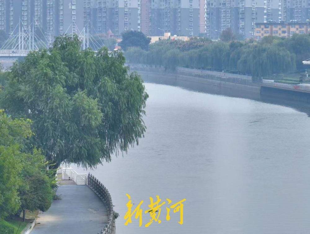 秋雨薄雾笼罩，济南小清河美成水墨诗画