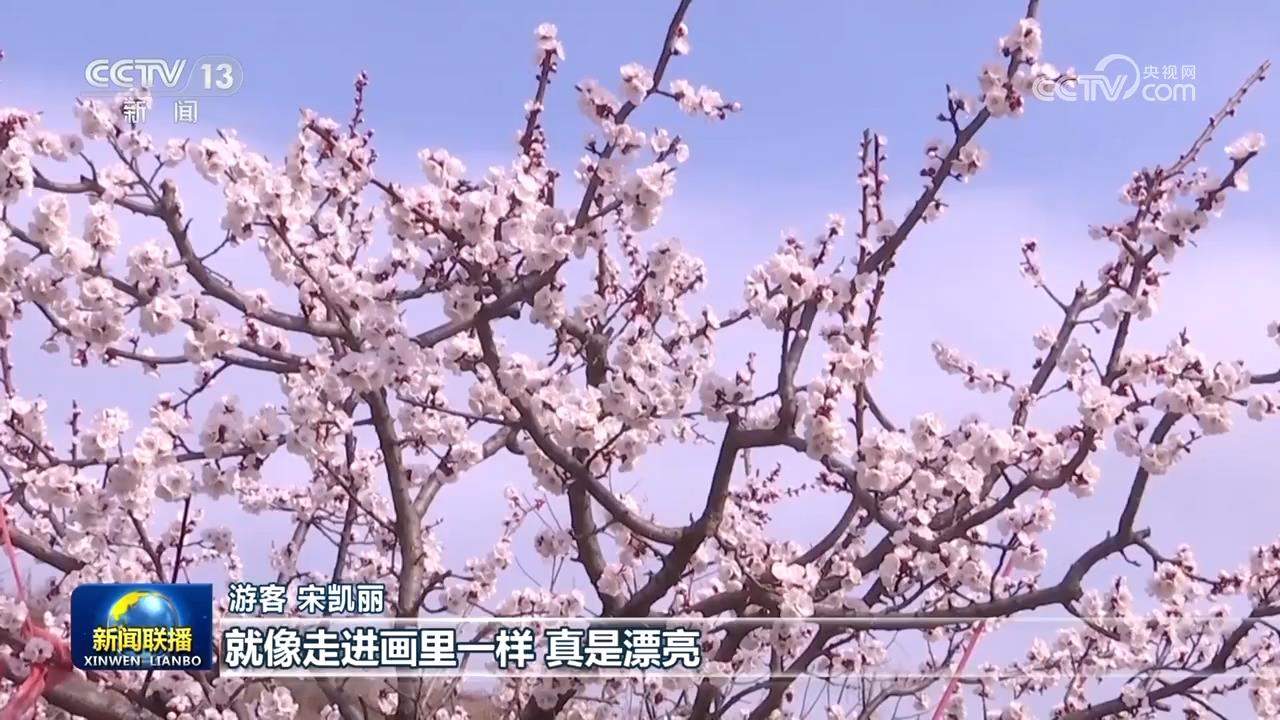 踏青赏花 乐享春日好时光