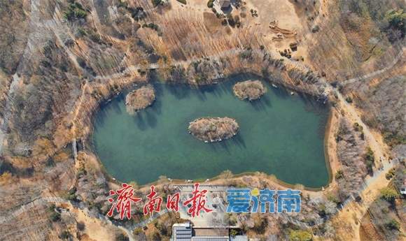 色彩斑斓！初春的济南森林公园生机勃勃