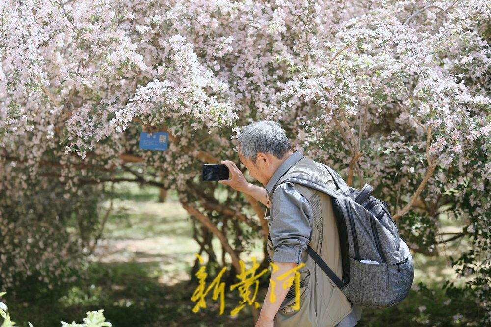 一年四季 泉在济南｜泉城猬实花开引客来