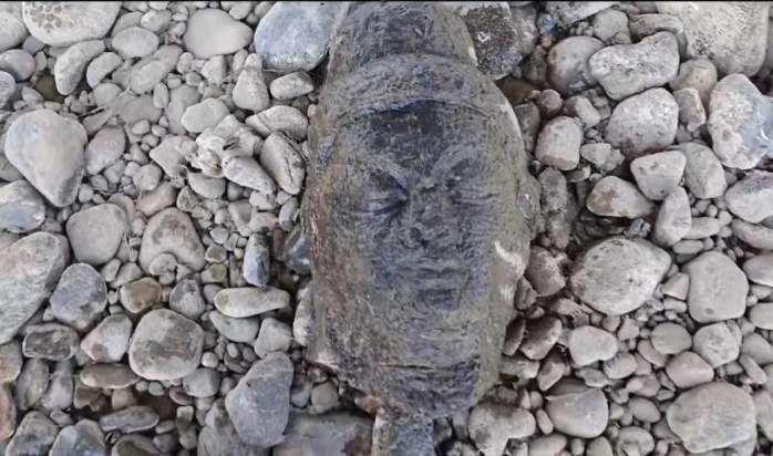 龙门石窟旁钓鱼“钓”到佛头，研究院：正在鉴定，并非首次发现