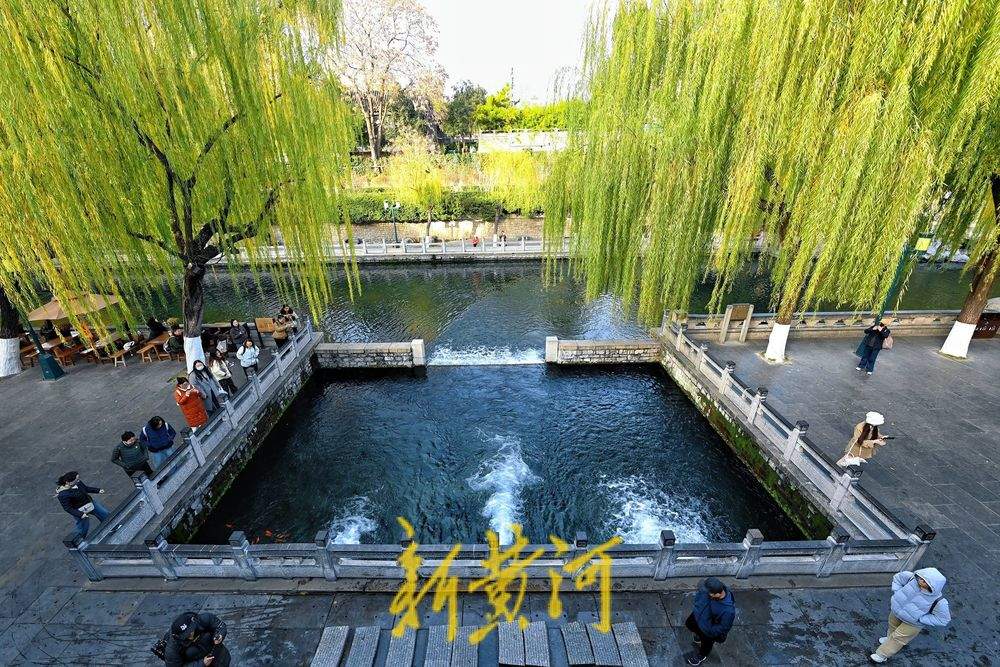 济南黑虎泉初冬“撒欢儿” 水位比去年同期高1.62米