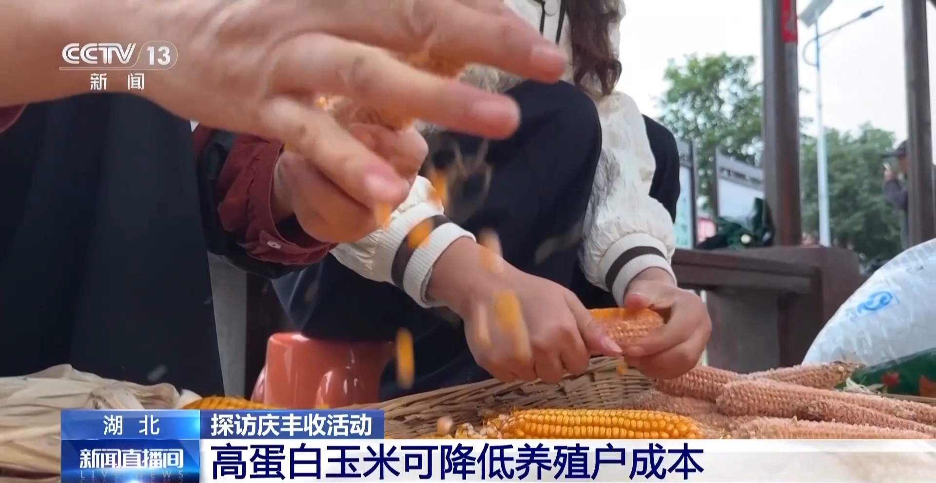 解码农业“育种芯片” 科技创新改变农业生产