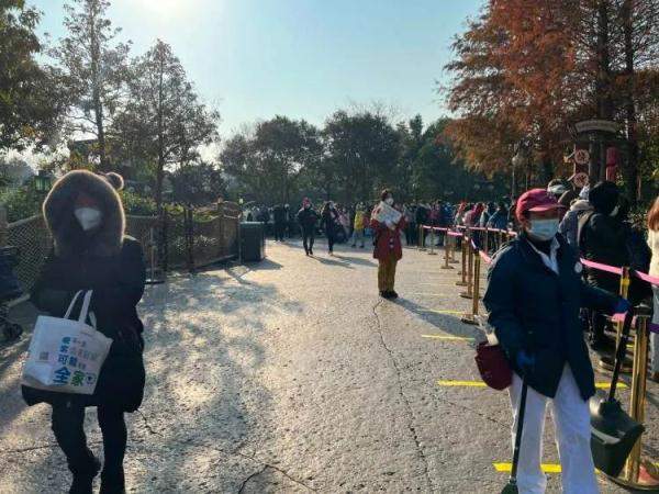 迪士尼凌晨3点排长队 为了买它