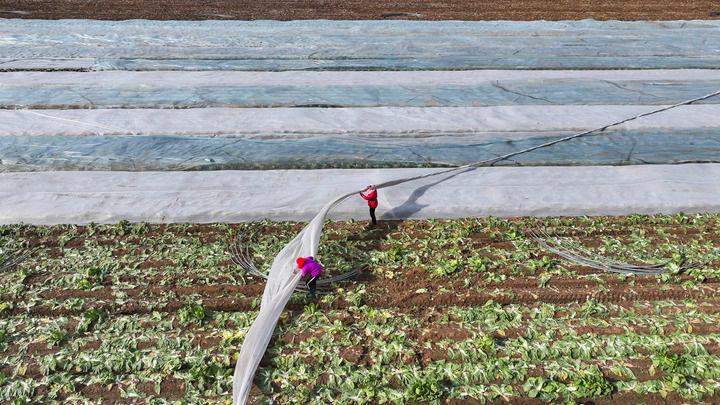 时政微观察丨常态化精准帮扶，这个新部署意义深远