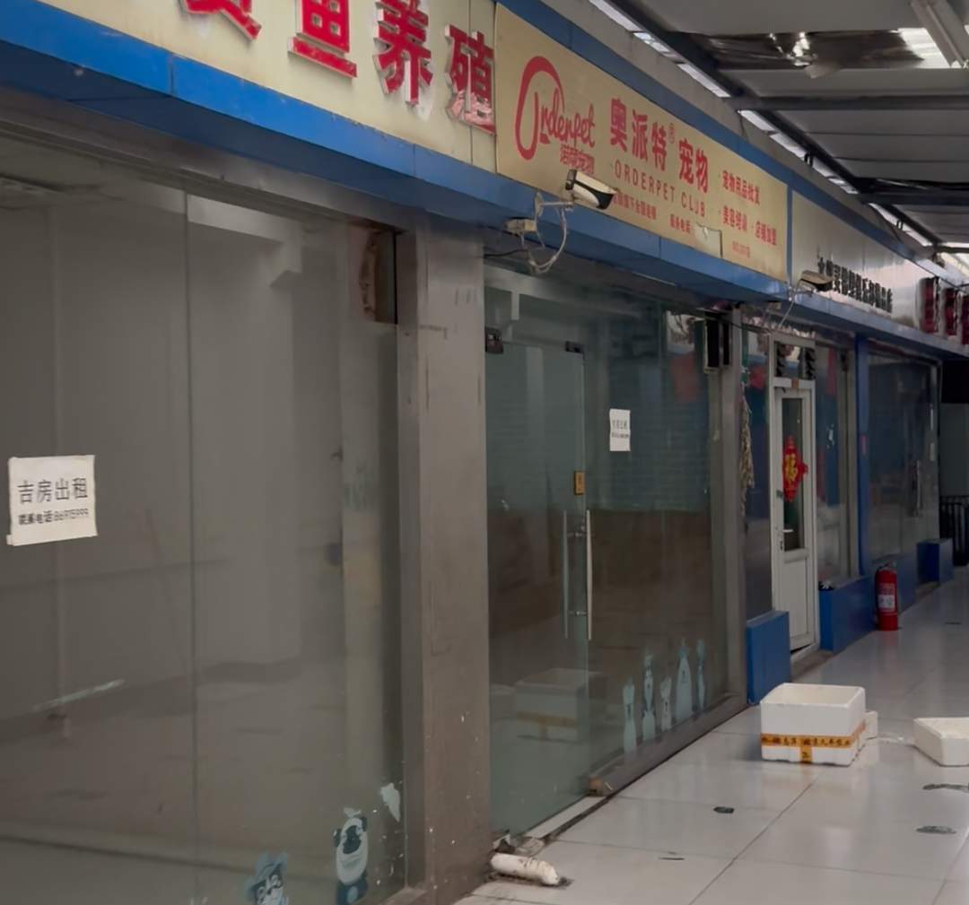 运营21年的济南柏宁水族广场将关停？商户在找新址，管理方说待定