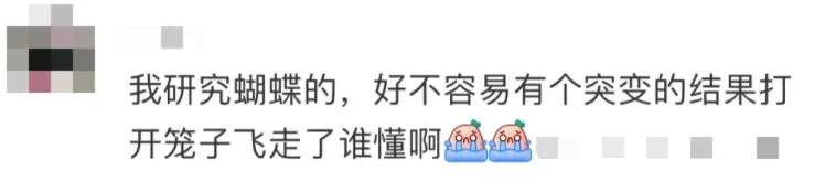 “我的论文被谁偷吃了” 农学生毕业论文惨遭“毒手”