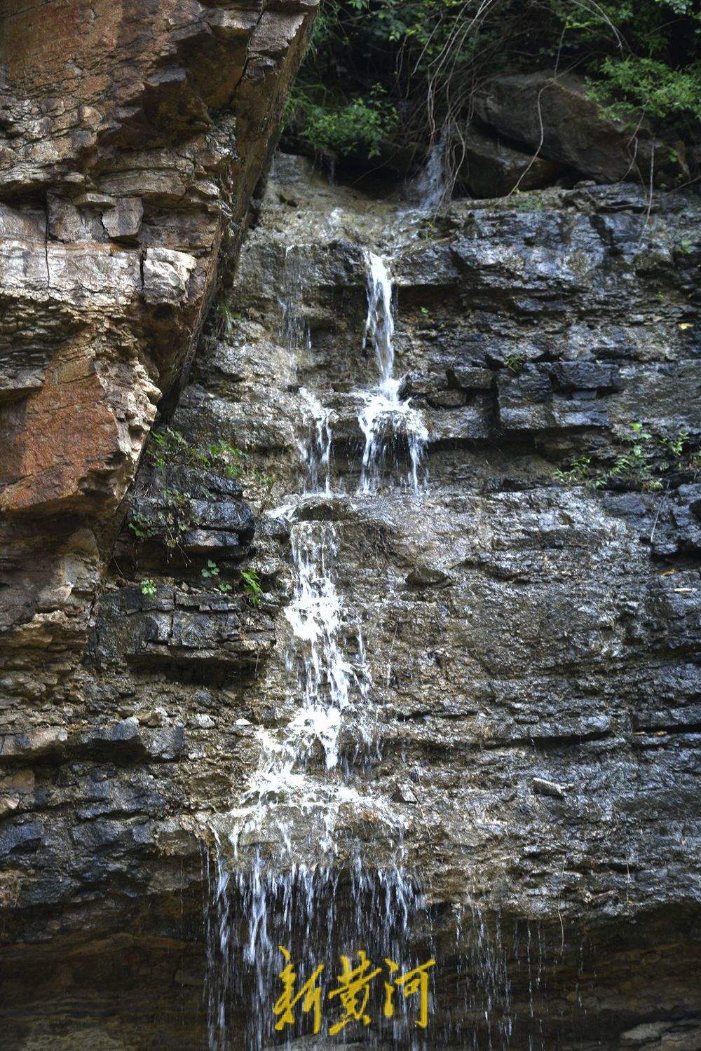 一年四季 泉在济南丨石崖峭壁汇聚山泉 龙洞风景区再现夏日限定美景