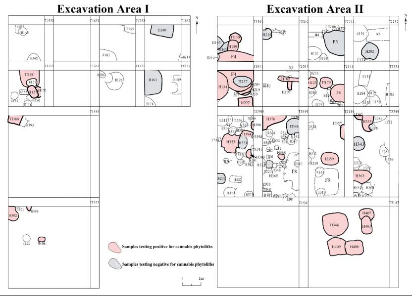 山大证实，淡出餐桌的麻，4000年前曾是北方主粮