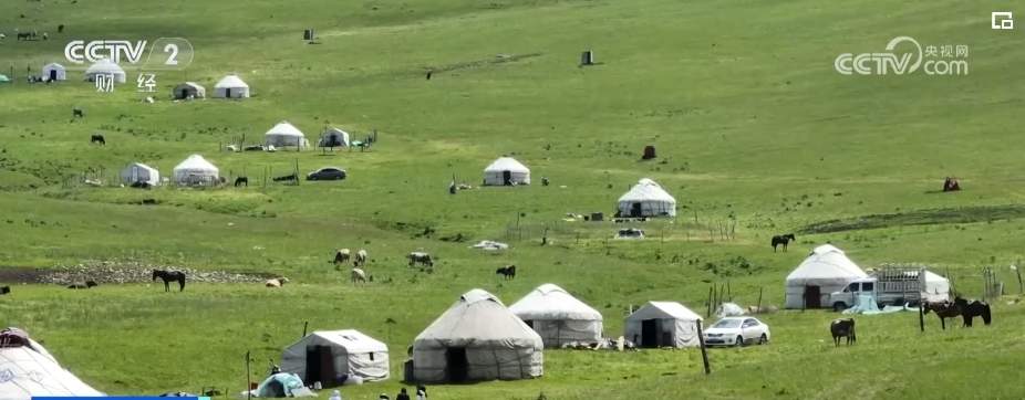“不夜城”、房车游、草原游……夏日旅游市场“新”意足 吸引力拉满