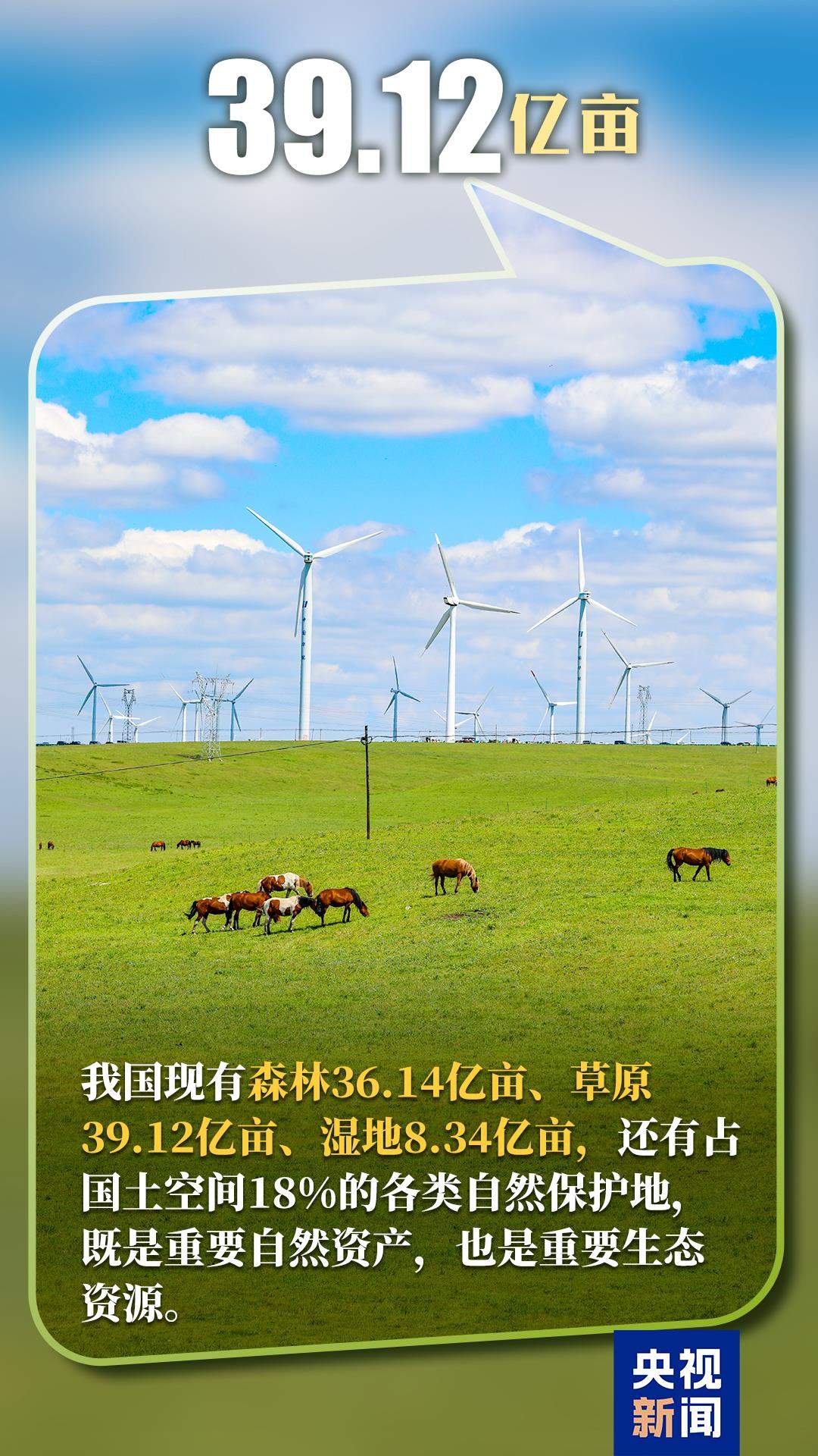 厚植绿色底色！一组数据解锁中国生态新图景