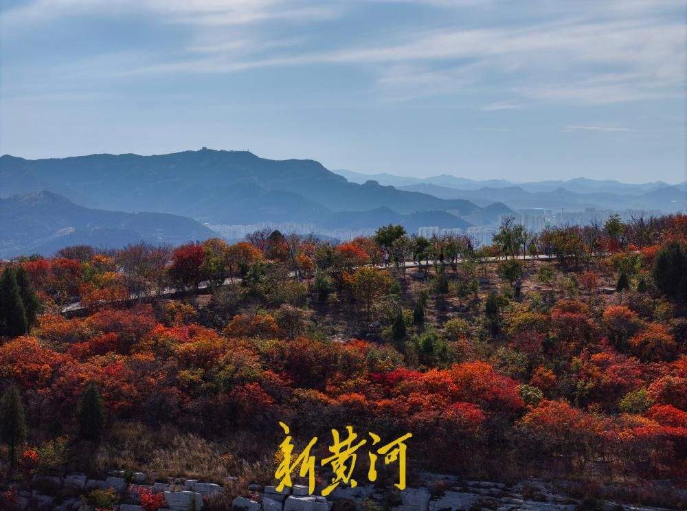 一年四季 泉在济南丨层峦焕彩！秋染蚰蜒山 登高赏彩林