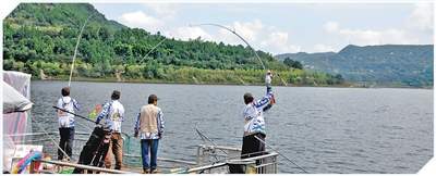 县域体育活力足（建设体育强国）