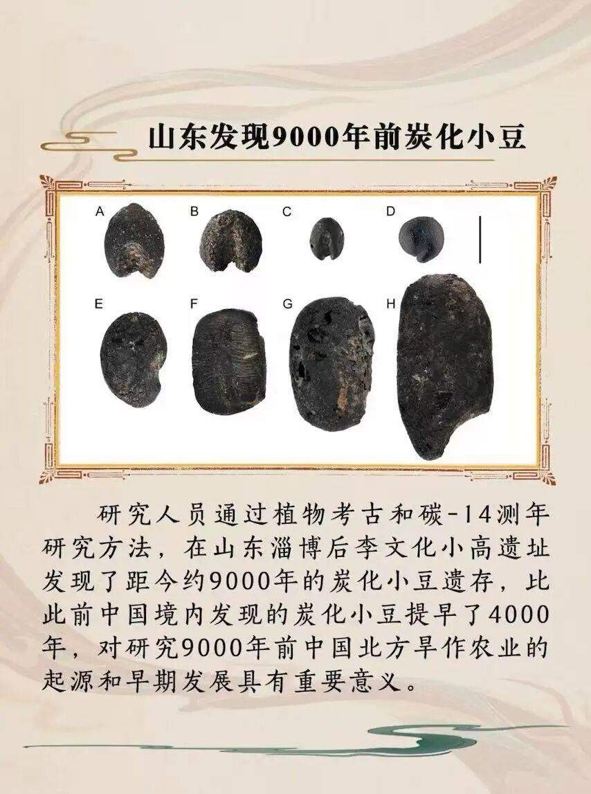 山东2项成果入选2025年度国内、国际十大考古新闻