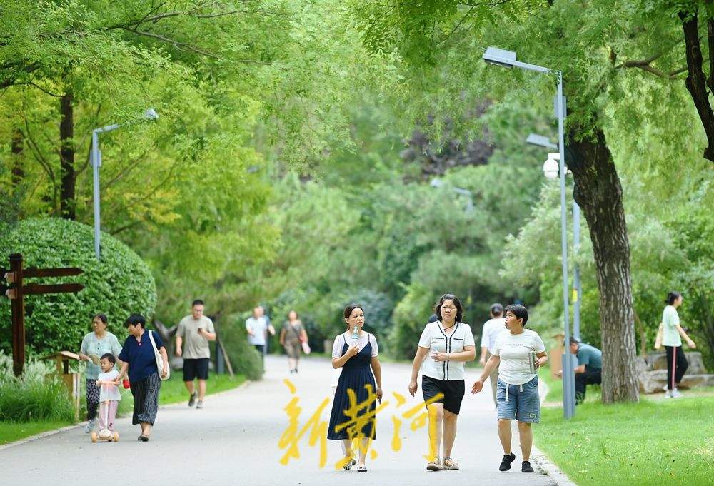 雨后漫步森林公园树荫小道 感受初秋的清凉