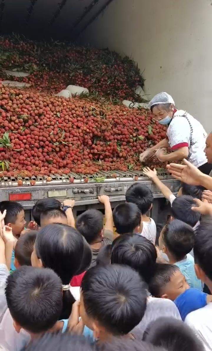 湖南一学校买2万多斤荔枝请师生品尝，每个学生分到1斤半