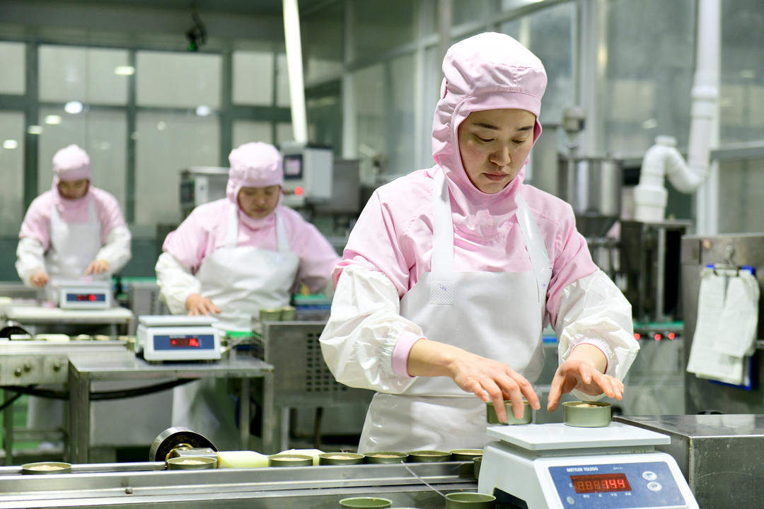 全国每十袋宠物粮，就有三袋产自山东