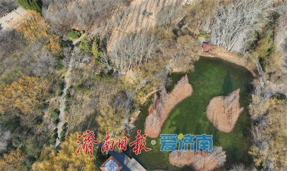 色彩斑斓！初春的济南森林公园生机勃勃