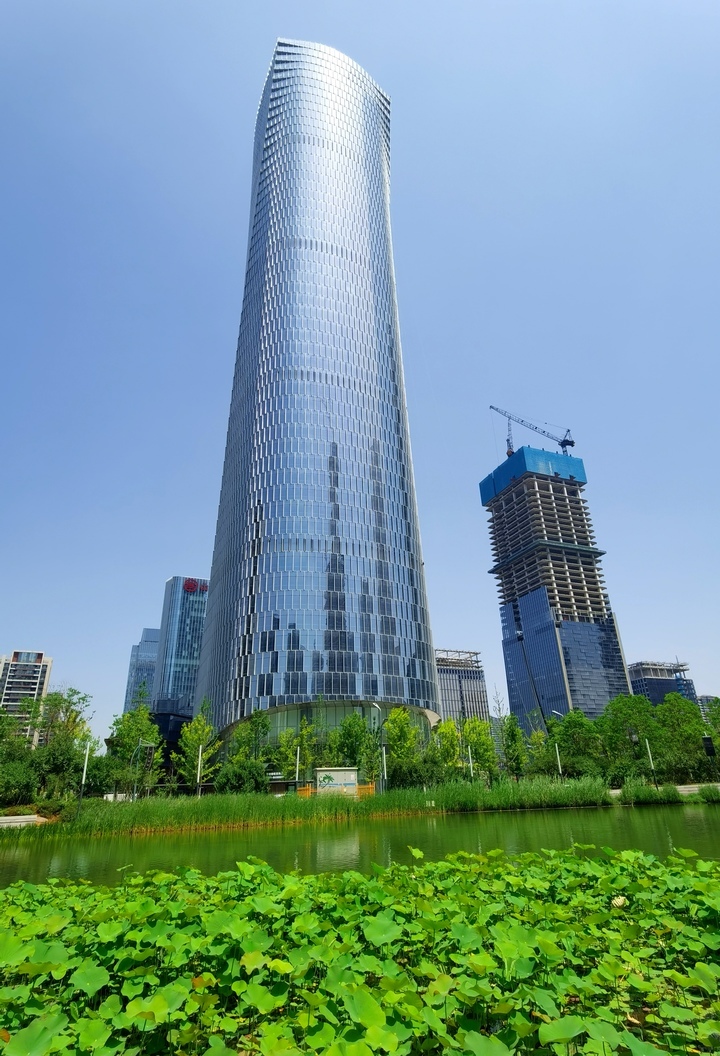 小荷已露"尖尖角",cbd荷花湖绿意浓 - 济南社会 - 舜网新闻