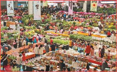 春花“赶春”有新招