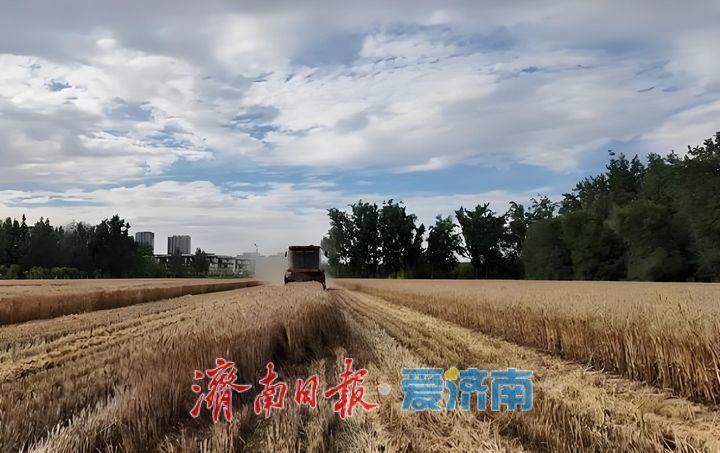 趵眼｜“半小时”服务圈为泉城农业赋能