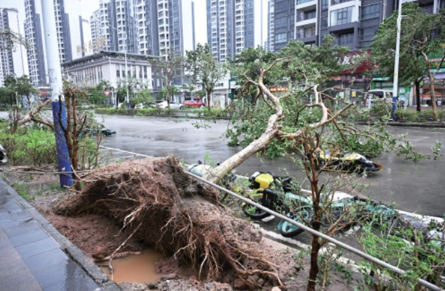 台风“桦加沙”在广东阳江登陆