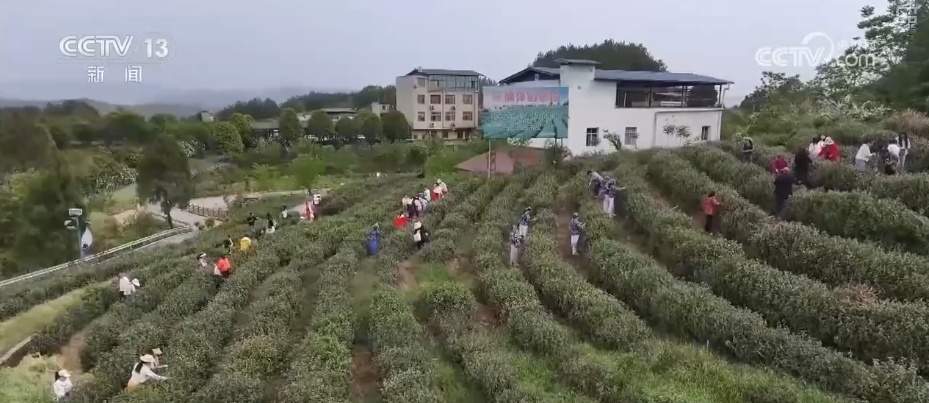 “国潮+”“露台+”“美食+”,准备好了!“五一”假期多样文旅新场景等你来