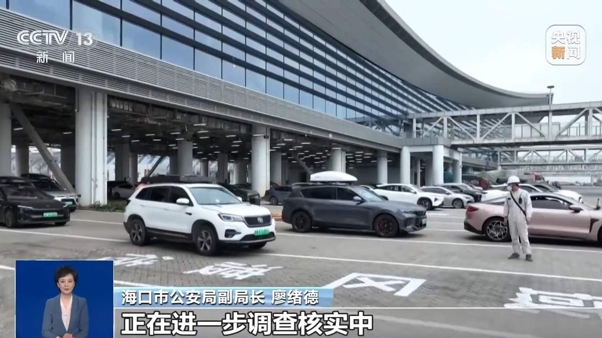 造谣“新能源车进不了海南” 男子被行拘