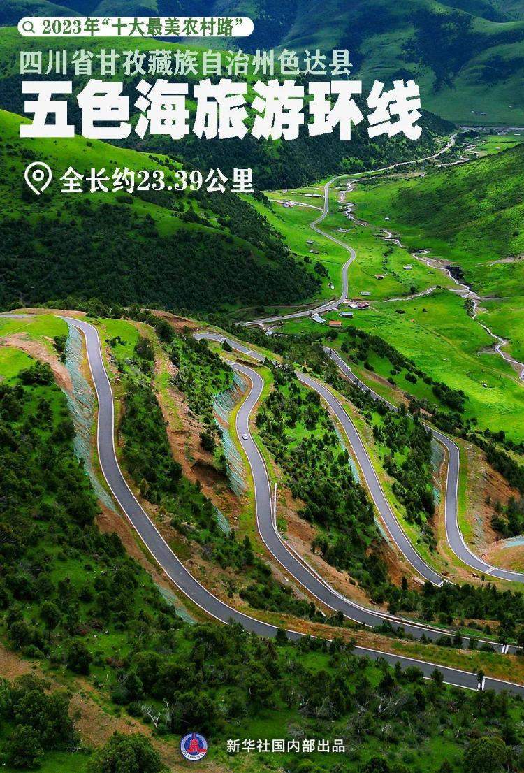 年度“十大最美农村路”！山东莱阳市莱高线上榜