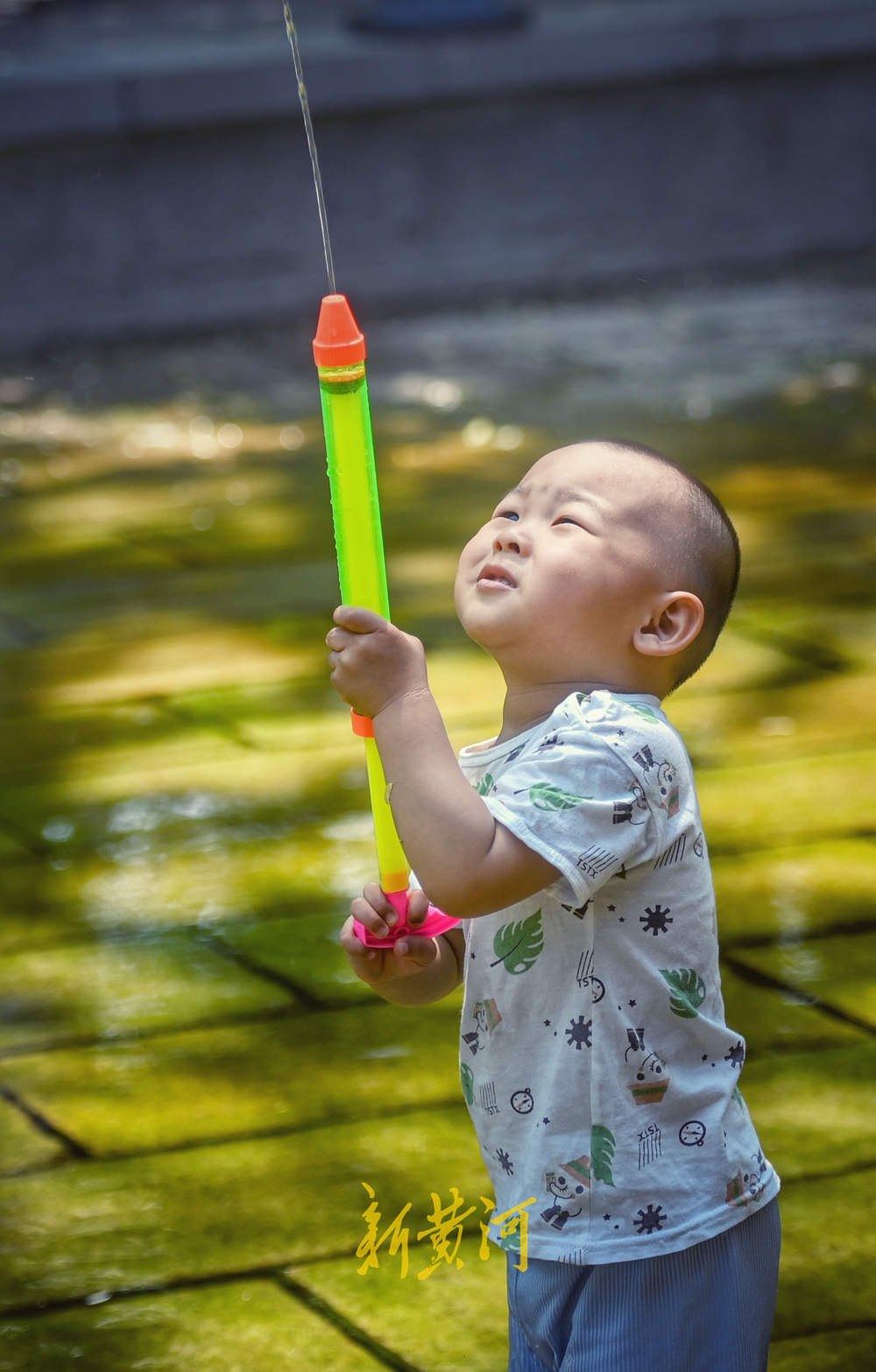 泉城入夏日，戏水正当时，五龙潭又热闹起来了