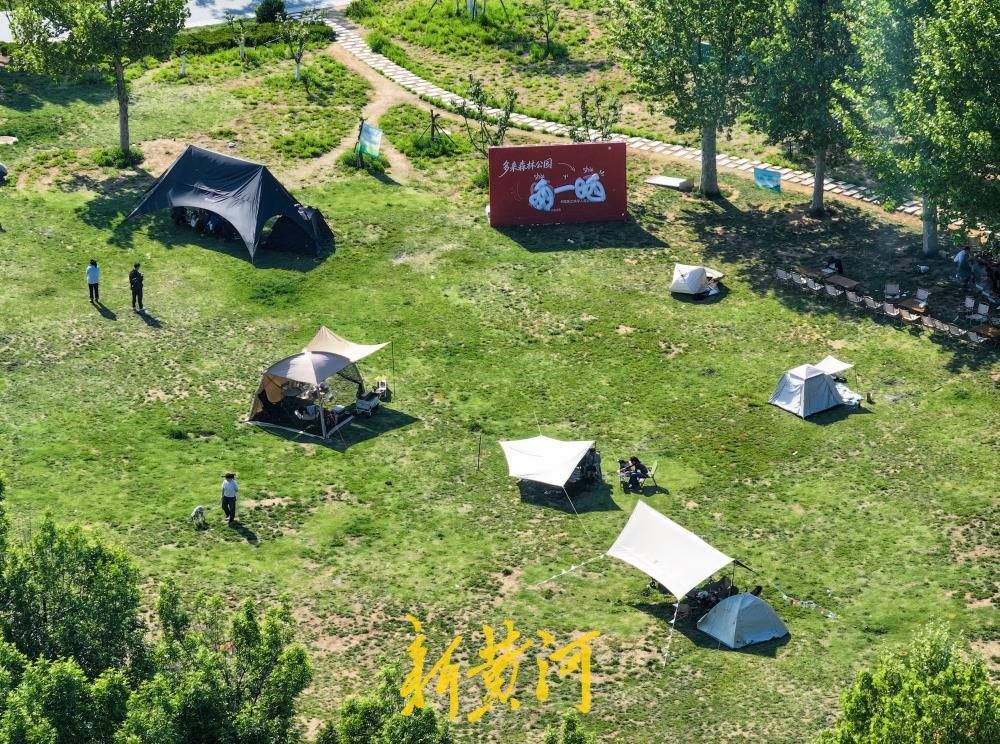 城市里的治愈系！“五一”假期来中央森林公园露营吧