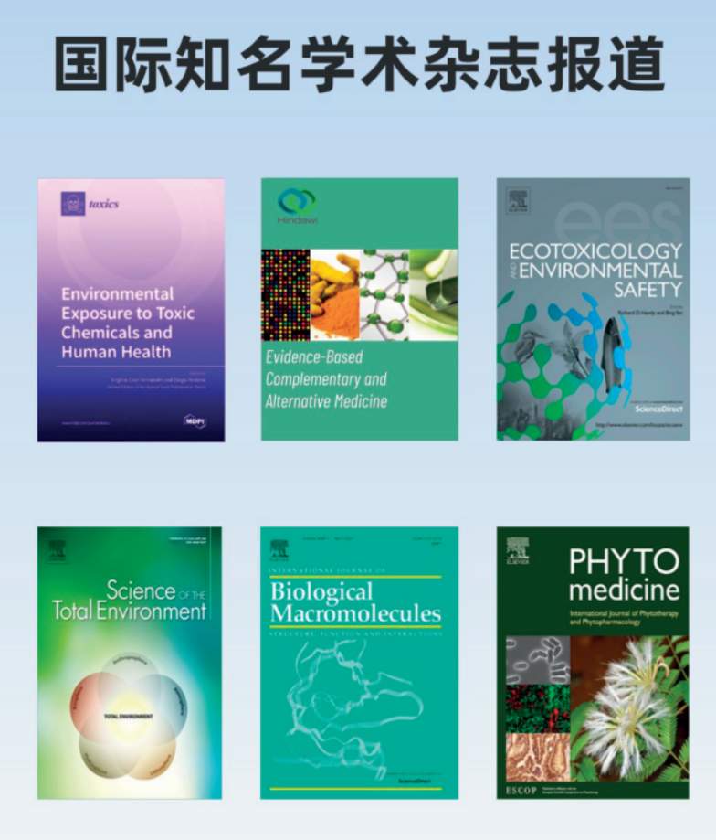 血管功能和慢性病高度关联：荷蓬茶源素如何进行全局调控？