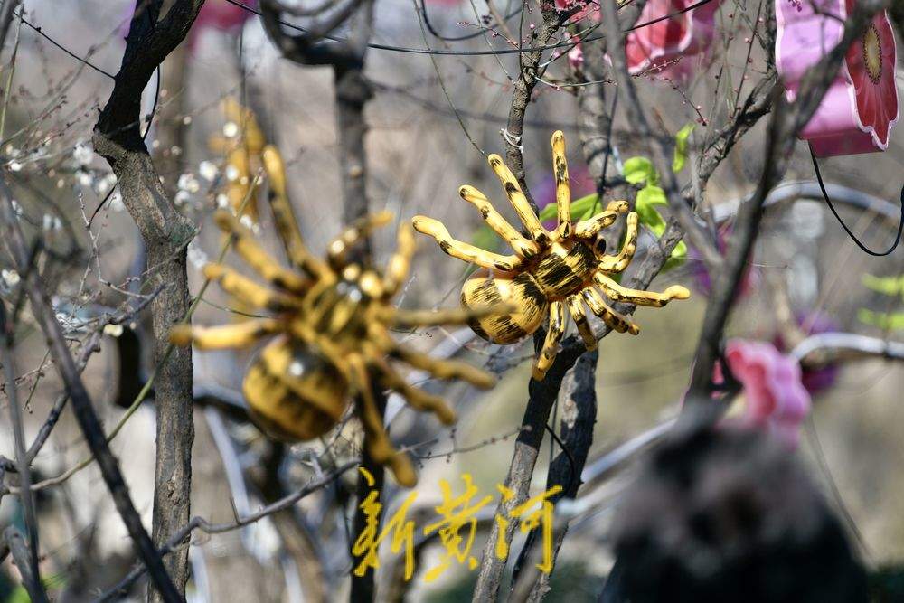 五龙潭迎春花灯启动安装 将化身梦幻光影乐园点亮泉城