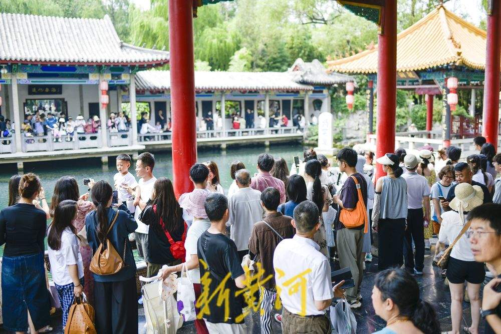 一年四季 泉在济南｜炎炎夏日，来济南赴一场“泉水游”吧